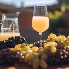 Bílý burčák Müller Thurgau