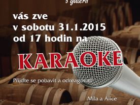 Karaoke - 31.ledna 2015